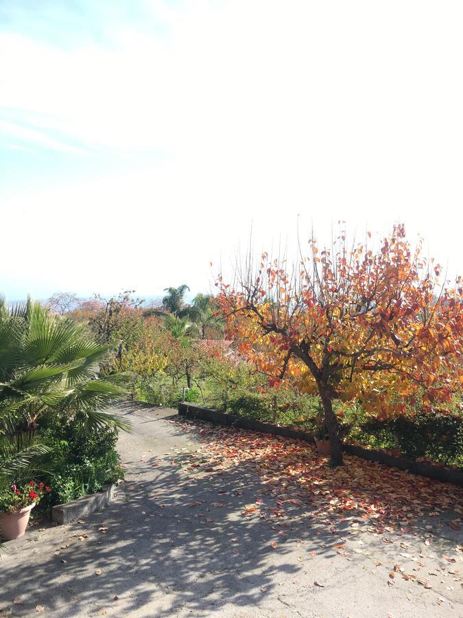 Bed & Breakfast Dimora Dell'etna Milo